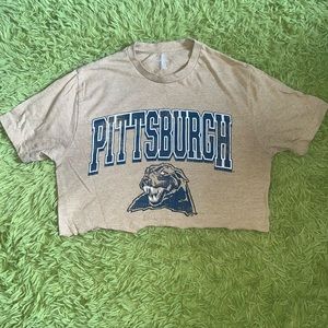 University of Pittsburgh Crop Top